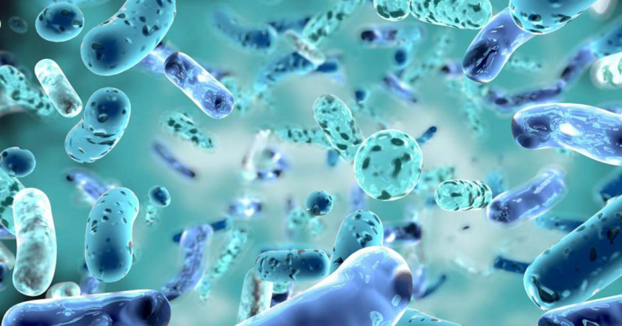 Zdravý mikrobióm: Skryté univerzum baktérií ľudského tela ako kľúč k zdraviu